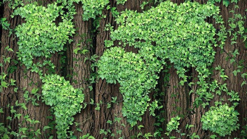 WCS EU office tweet media