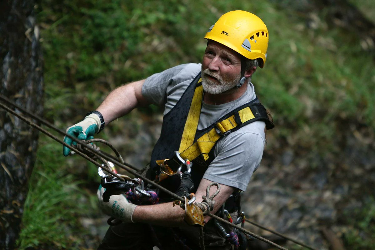 PalmOilDetect's tweet image. #Entomologist #Academic #TV presenter Dr George McGavin @georgecmcgavin on rapidly disappearing #biodiversity #fun @BBC expeditions and why he supports the #Boycottpalmoil #Boycott4Wildlife movement palmoildetectives.com/2021/10/18/ent… via @palmoildetect