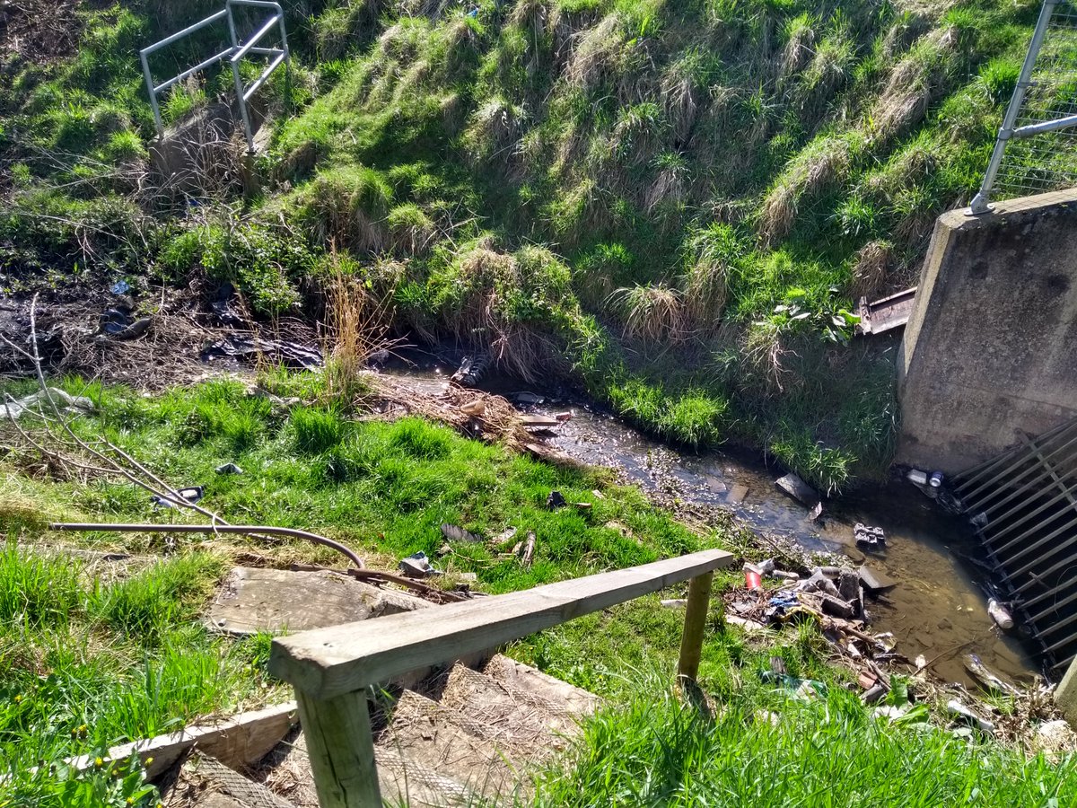 EcoYorkCYC tweet media