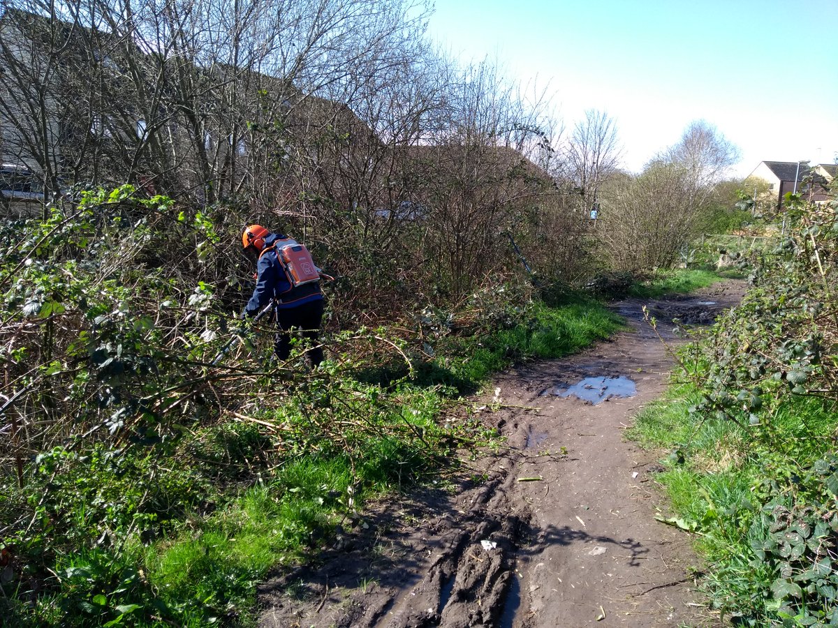 EcoYorkCYC tweet media