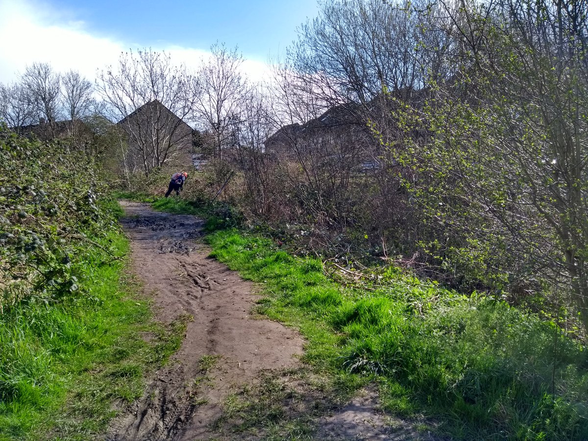 EcoYorkCYC tweet media