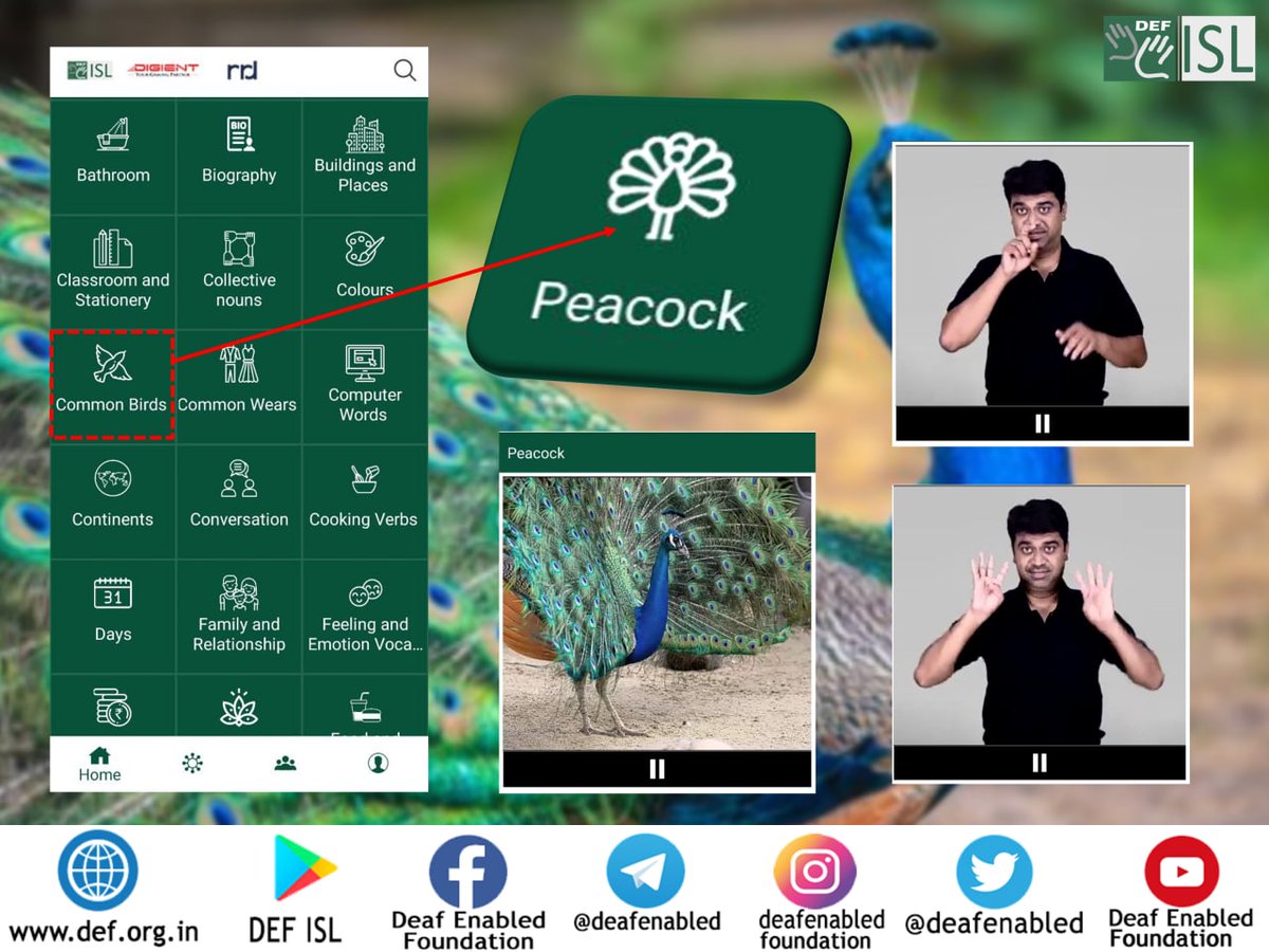 deafenabled's tweet photo. Know more about birds in Indian Sign Language from the DEF ISL App. Download today!
Link:- https://t.co/dx5EuKn4Tx
#common #birds #vocabulary #learning #IndianSignLanguage #DeafEnabledFoundation #digienttech https://t.co/Wkr6BoN68P