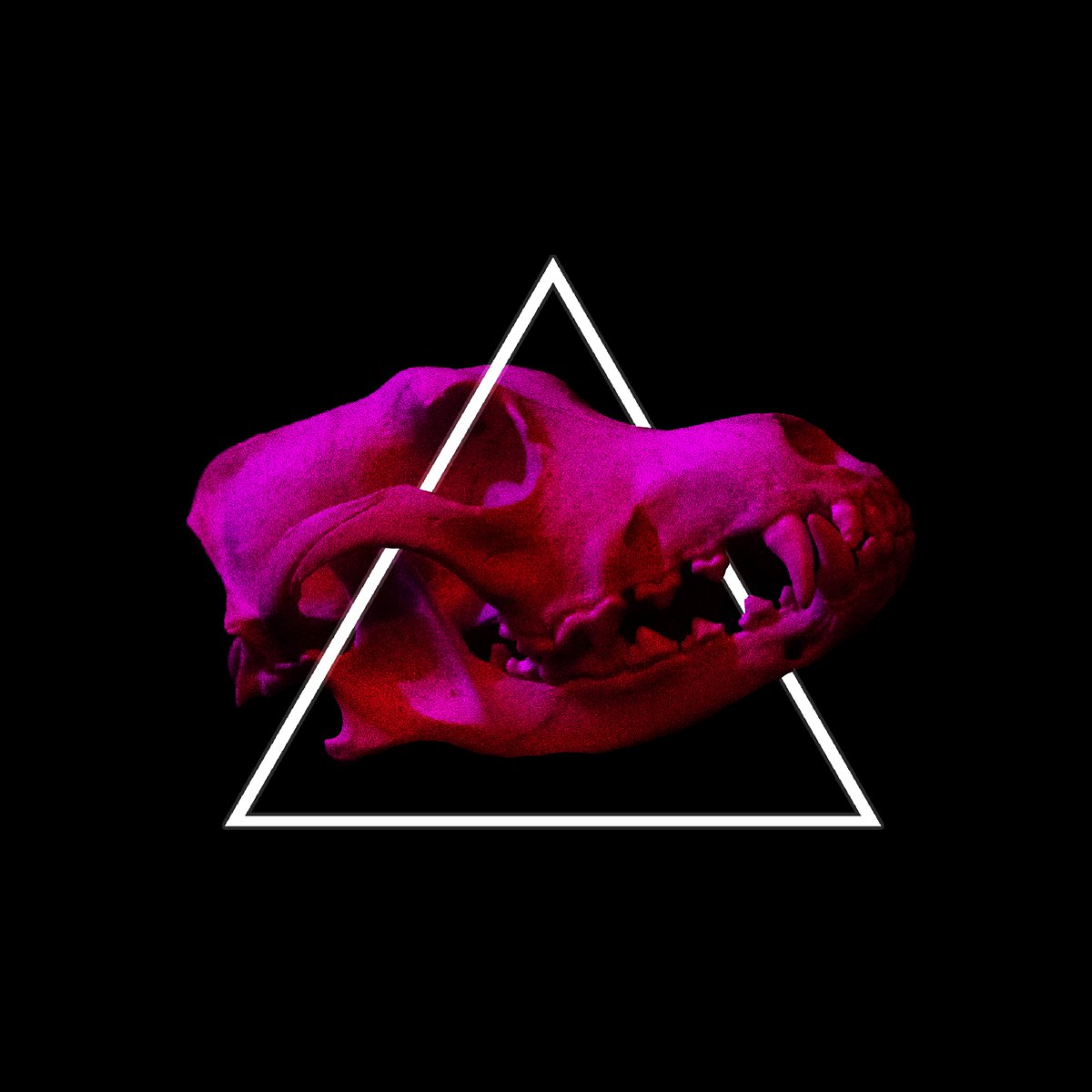 The Predator remixes are out now! Go listen

linktr.ee/strangers