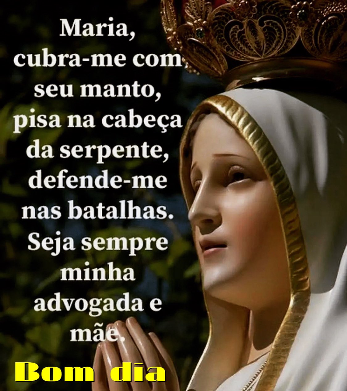 Padre Marcelo Rossi on Twitter: Padre Marcelo Rossi on Twitter: