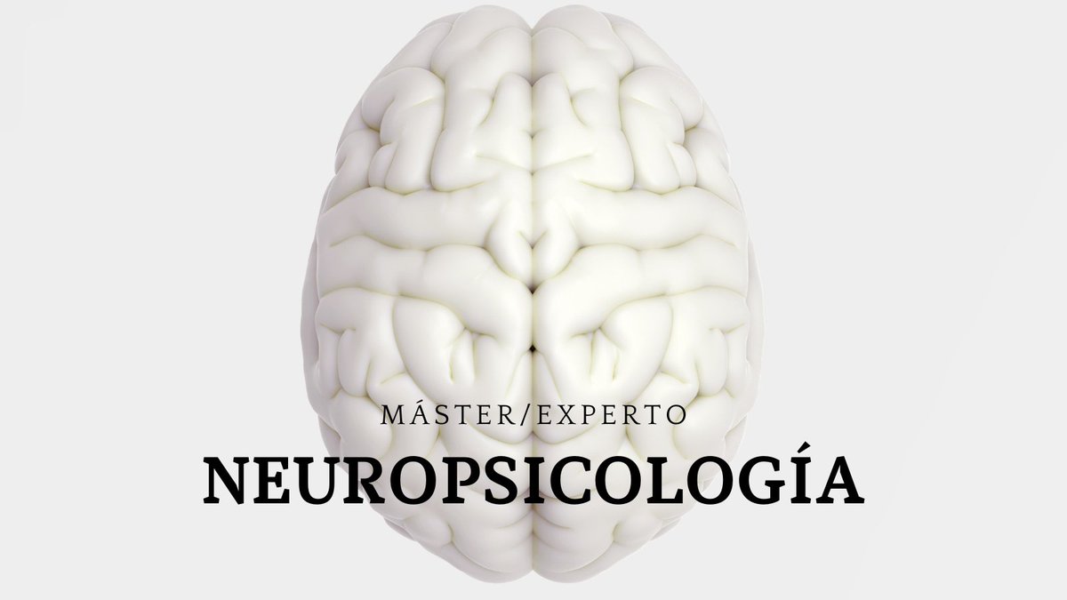 Fundacion_UCA's tweet image. Buenas tardes!🙋🏼‍♀️
Inscripción abierta para especializarte en #NeuropsicologíaClínica
Formación compuesta por un #máster y dos #expertos que puedes realizar a tu ritmo.
➡️Dirigido a graduados en #Psicología
ℹ bit.ly/3LuQGiG
📅Oct 22
📌Fac CC Educación