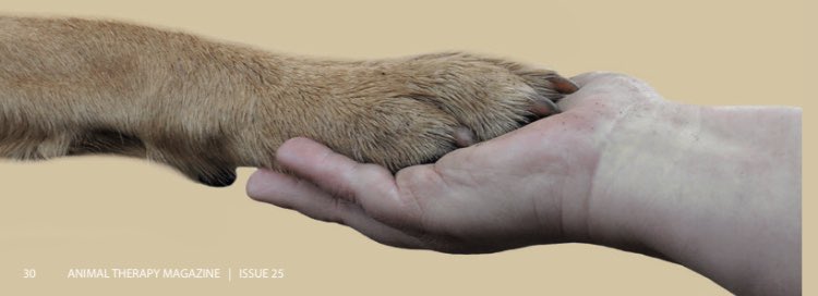 Animal Therapy Media (@atmediamag) on Twitter photo Read Dr Tracey King’s fab article about the amazing work of the <a href="/HumanimalTrust/">Humanimal Trust</a>
“Many ways in which human and animal diseases are diagnosed and treated share distinct similarities,but despite this,the lag of animal healthcare behind human health care continues”
<a href="/ATMediaMag/">Animal Therapy Media</a> Read Dr Tracey King’s fab article about the amazing work of the <a href="/HumanimalTrust/">Humanimal Trust</a>
“Many ways in which human and animal diseases are diagnosed and treated share distinct similarities,but despite this,the lag of animal healthcare behind human health care continues”
<a href="/ATMediaMag/">Animal Therapy Media</a>