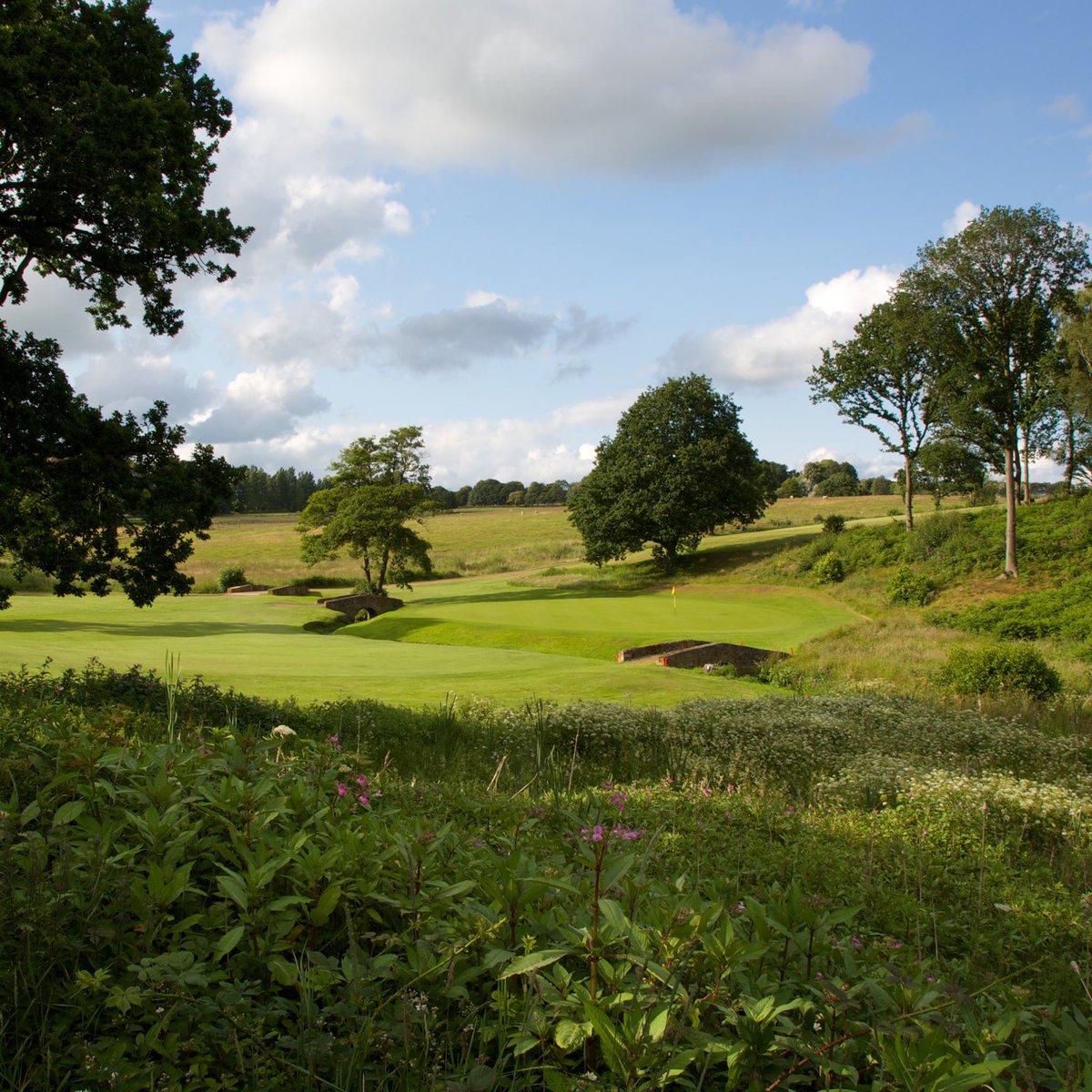 AlexHarm5's tweet photo. Looking forward to getting my season going next Monday on the @2020protour at Headingley Golf Club. Despite todays weather, my game is shaping up nicely, hope to get off to a flyer this year @MASdesignLeeds #letsgolf #Golf #newseason https://t.co/BSk67AjzuP