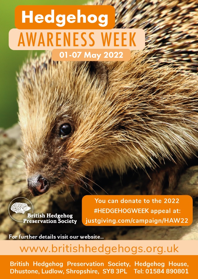Hedgehog Society (@hedgehogsociety) on Twitter photo #hedgehogweek is coming soon! Can you arrange for a set of posters to be displayed locally or a leaflet drop to your neighbours? If so please email info@britishhedgehogs.org.uk #hedgehogweek is coming soon! Can you arrange for a set of posters to be displayed locally or a leaflet drop to your neighbours? If so please email info@britishhedgehogs.org.uk