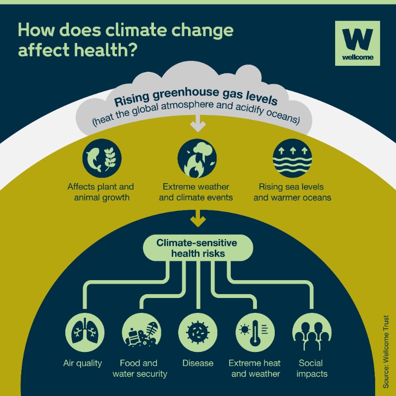 Climate change is a global health problem. Ahead of #COP27, learn more about how the climate crisis is impacting health around the world ⤵️ wellc.me/34YKxMj