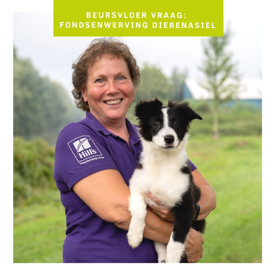 VRAAG // <a href="/AsielZwolle/">Dierenasiel Zwolle</a> gaat voor 2 honden, hybride tussen wolf en hond, een permanente plek op hun terrein maken. Om dit te realiseren willen ze een fondsenwervingsactie opzetten. Kan jouw bedrijf helpen? Meld je dan nog snel aan voor de Beursvloer zwolledoet.nl/beursvloer.