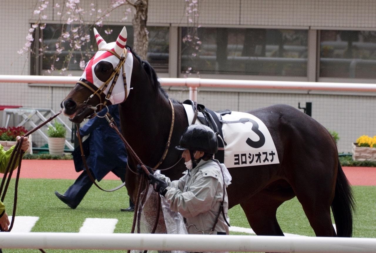 面白い名前の馬 Twitter Search Twitter