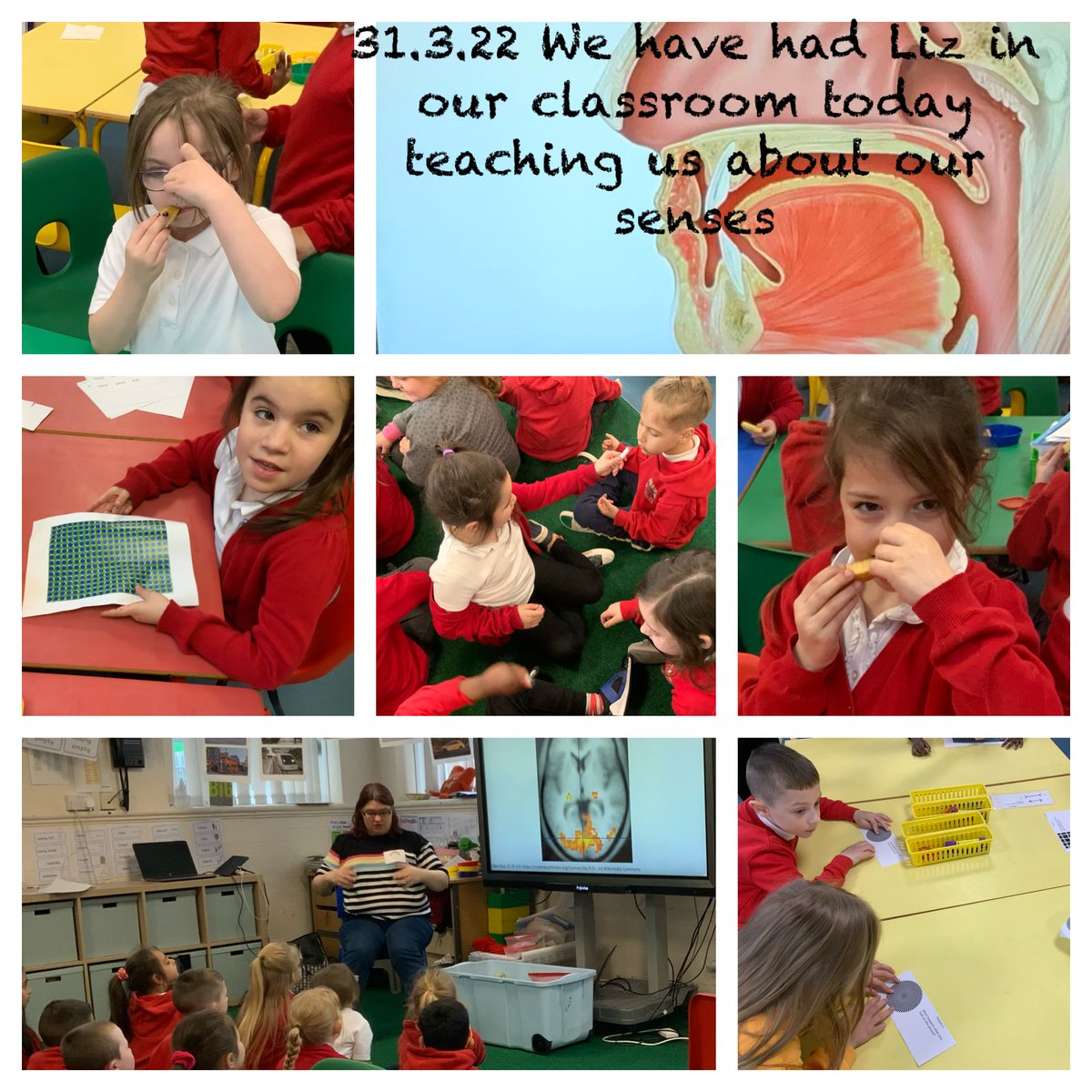 Y1RDPS's tweet photo. ⁦#RDPSY1 #RDPSSCIENCE https://t.co/PWQZNiKfUl