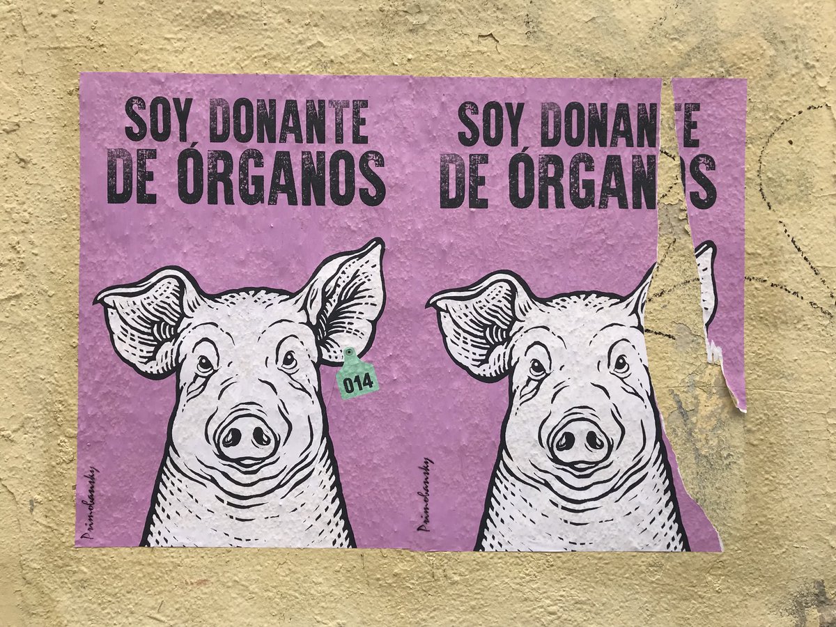 Cristina Nualart (@cnualart) on Twitter photo 