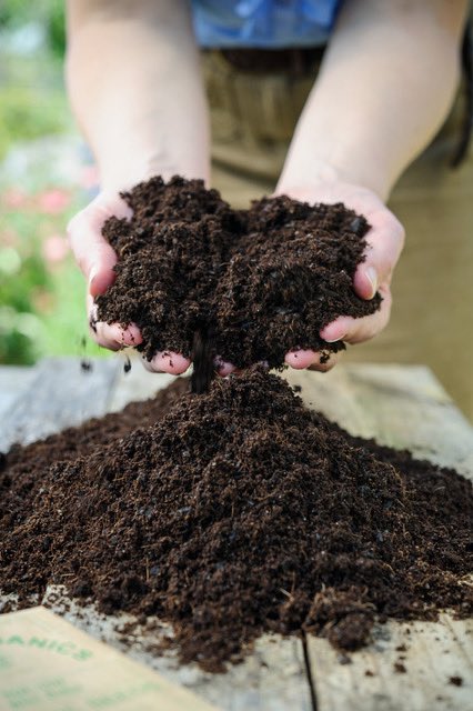 CarbonGold's tweet photo. If you're looking for an organic, sustainable way to improve your soil quality when planting your seedlings this Spring, our Seed compost is worth a try, you'll be delighted with the results! #seedlinghealth #seedcompost #growyourown https://t.co/E70mh88Ih2