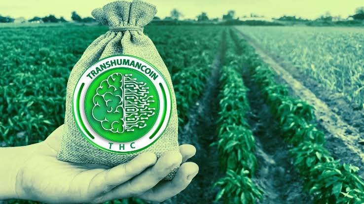 kunle1027's tweet image. Today makes it the 8th month #Transhumancoin was launched.
The Dev and Mgt have being BUIDLING, giving a solid foundation for this futuristic project 💎, you can just imagine the Skyscraper to start emerging soon.
#OneDay closer.
Privileged time to BUY #THC is NOW!