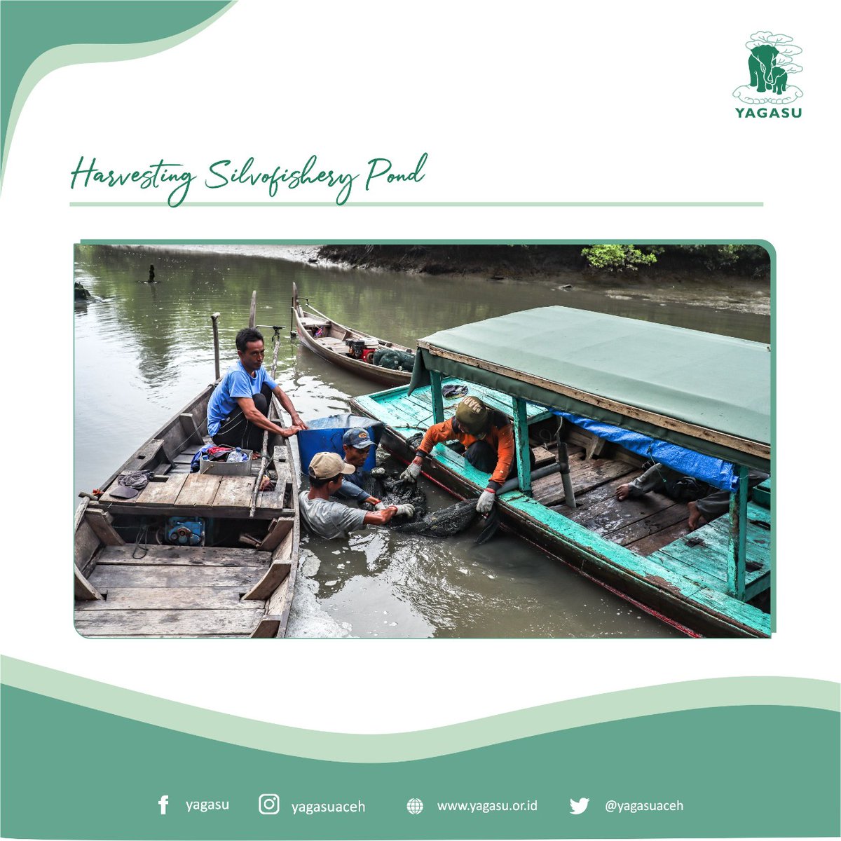 yagasuaceh's tweet photo. The Yagasu team monitored one of the Silvofishery ponds managed by Yagasu's community group in Paluh Kurau Village, Deli Serdang Regency, North Sumatra which has been supported by funding for economic development for the silvofishery pond model.(cont) https://t.co/GwgYuSxgNW
