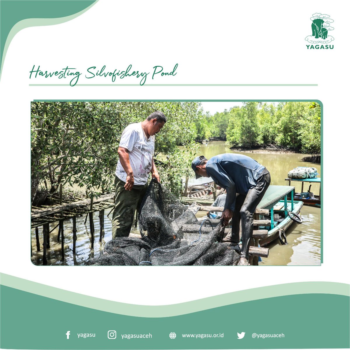 yagasuaceh's tweet photo. The Yagasu team monitored one of the Silvofishery ponds managed by Yagasu's community group in Paluh Kurau Village, Deli Serdang Regency, North Sumatra which has been supported by funding for economic development for the silvofishery pond model.(cont) https://t.co/GwgYuSxgNW