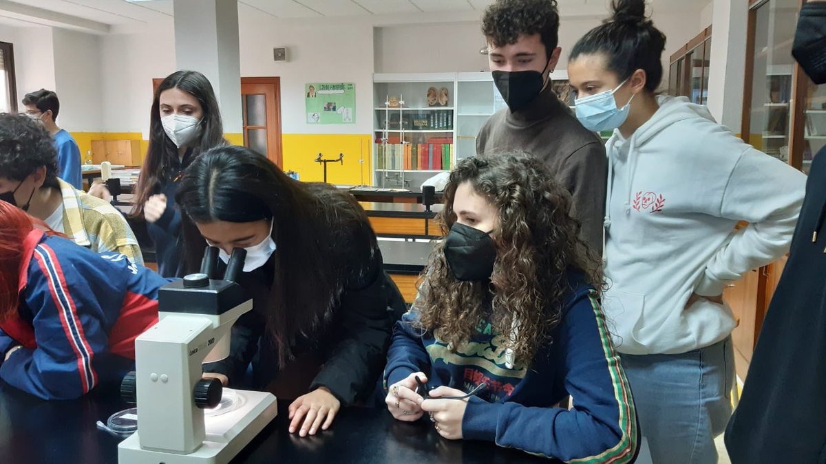 CSAsalamanca's tweet photo. “Un pequeño pez para responder las grandes preguntas de la biomedicina”, prácticas de biología con INCYL. @Incyl_Usal #VISF #EnseñarEducando https://t.co/sKKb8TlE6k