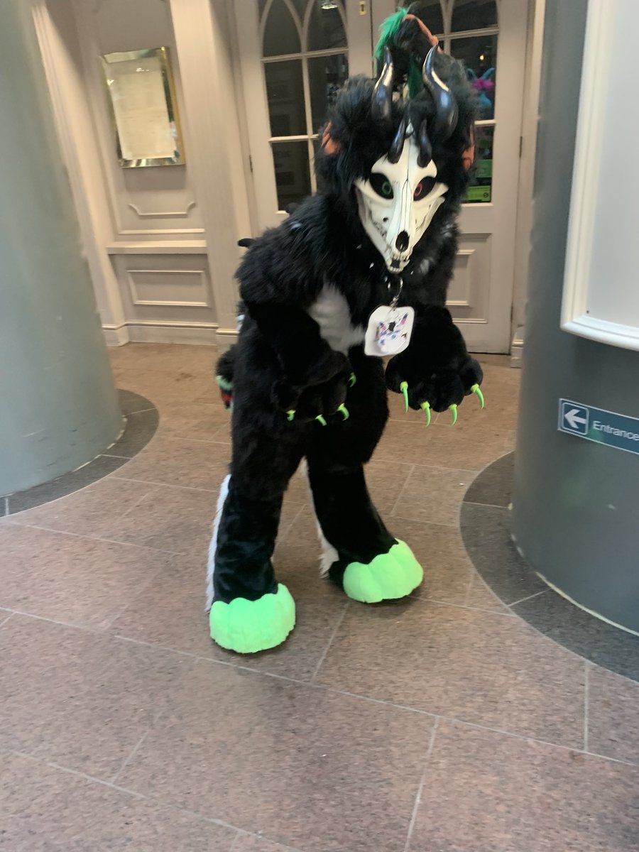 Guard_Mutt's tweet photo. Local goblin gets ready to pounce
-
๐ @LondonFurs
๐ธ @purple_Ripper_
-
#fursuit #furry #fursona #furryfandom #skulldog #skulldogs #geekretreat #bat #batsonas #skullbat #skullbats #photography https://t.co/SLGyoagyc9
