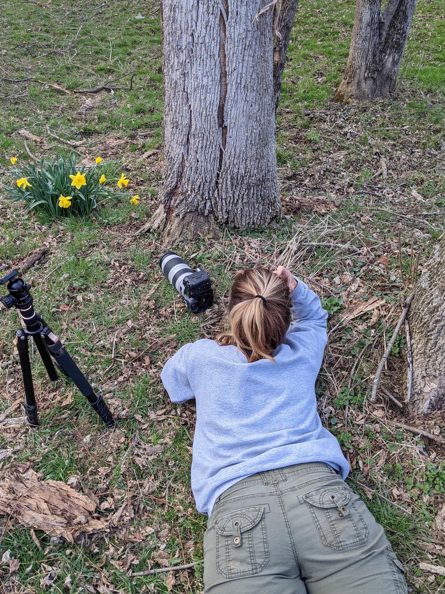 Abbey Kline 📸 tweet media