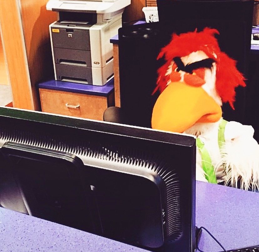 BirdCallRadio's tweet photo. “I’m b-b-busy!” 🐔 

#birdcallradio #birdcall #chicken #busy #computerwork #office #theoffice #boss #chicker #bock #work https://t.co/h7KeA7rQ8E