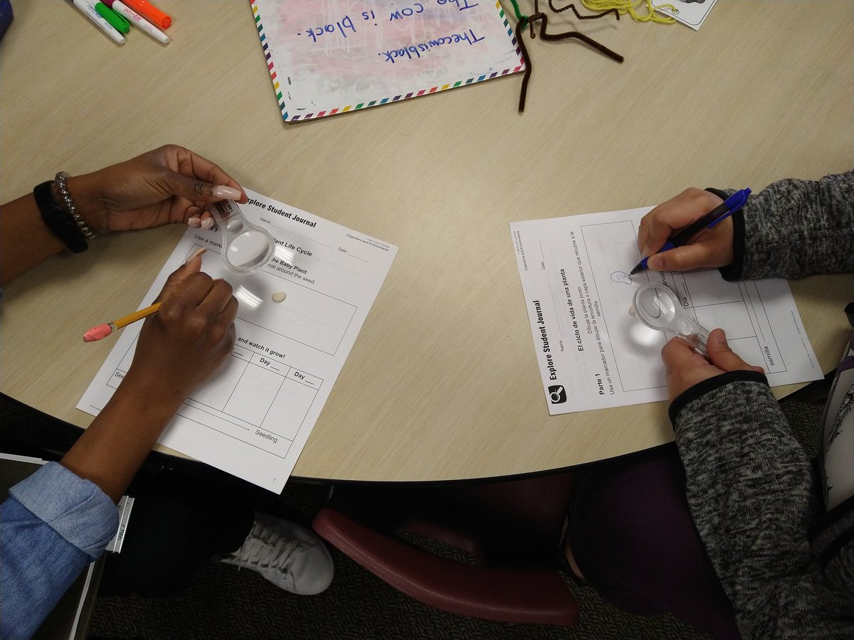 Mrs. Estrada tweet media