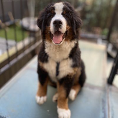 stmarksvet's tweet photo. #NewProfilePic https://t.co/HZGCv1jzfu