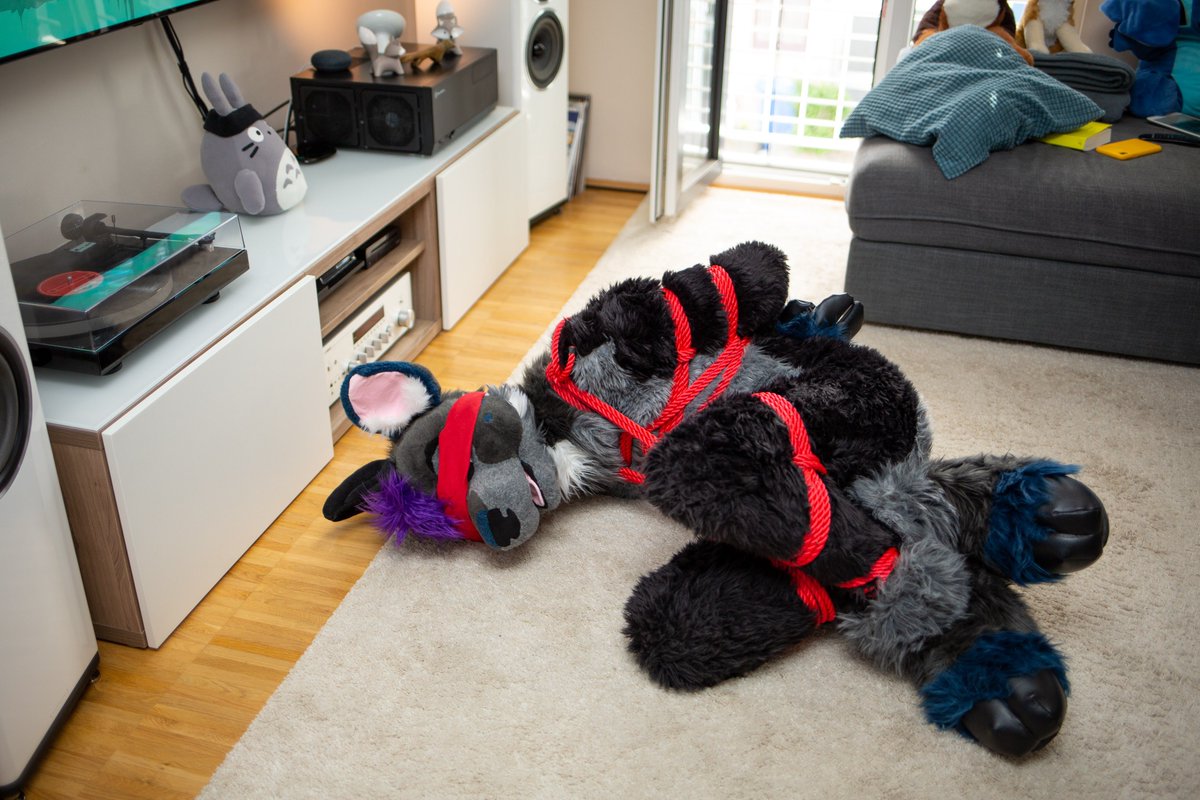VutieDeer's tweet photo. My secret superpower is that I can always nap. 😋
🪢📸 @Nutzfux https://t.co/4eOG5gOcIM