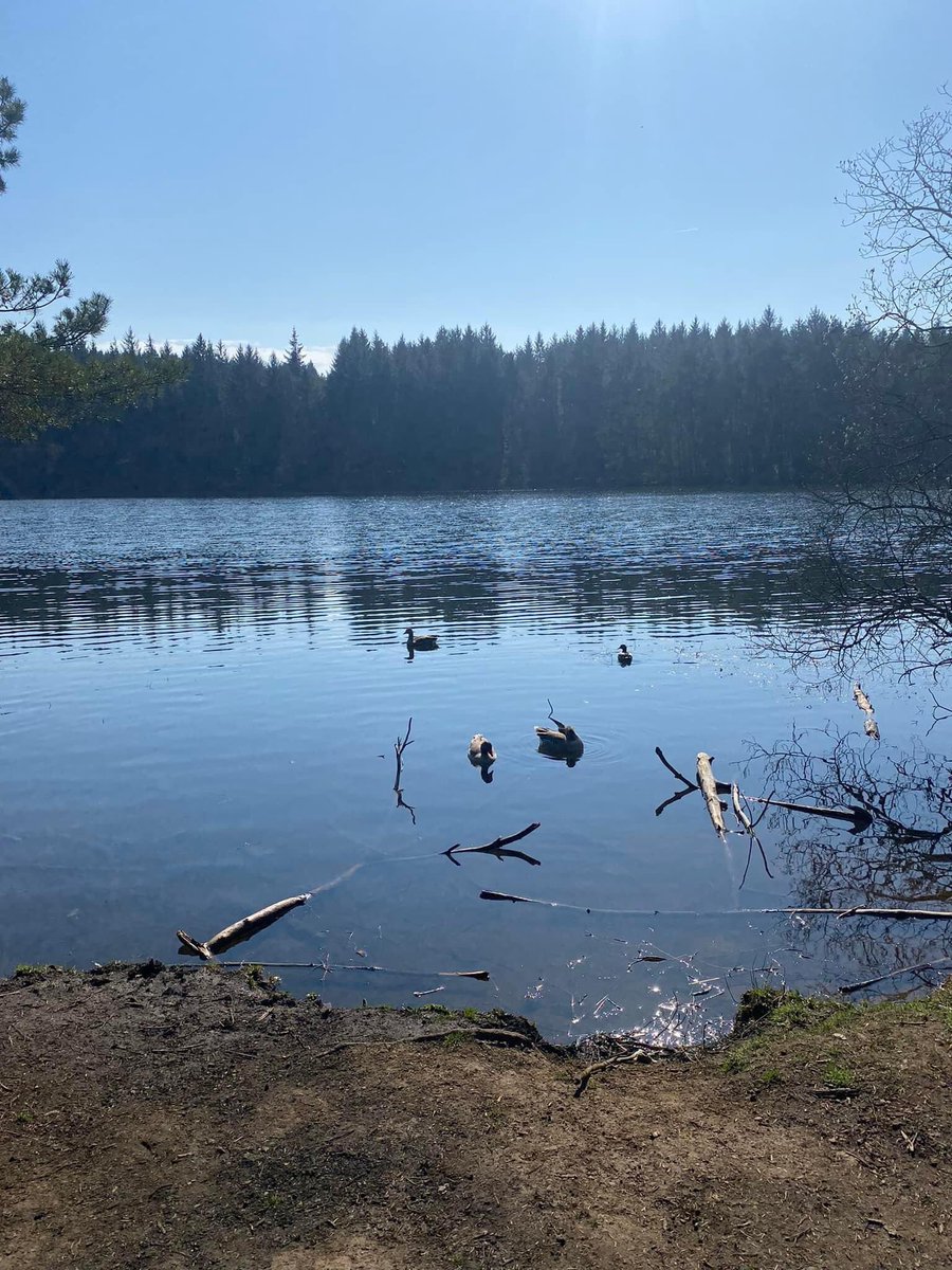 celtswalkingon's tweet photo. Lovely walk round this Loch 💚 https://t.co/4nZhjOUGuB