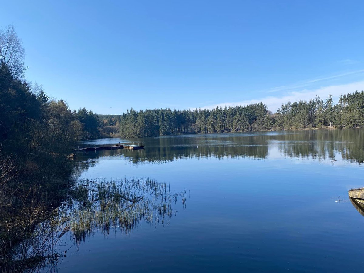 celtswalkingon's tweet photo. Lovely walk round this Loch 💚 https://t.co/4nZhjOUGuB