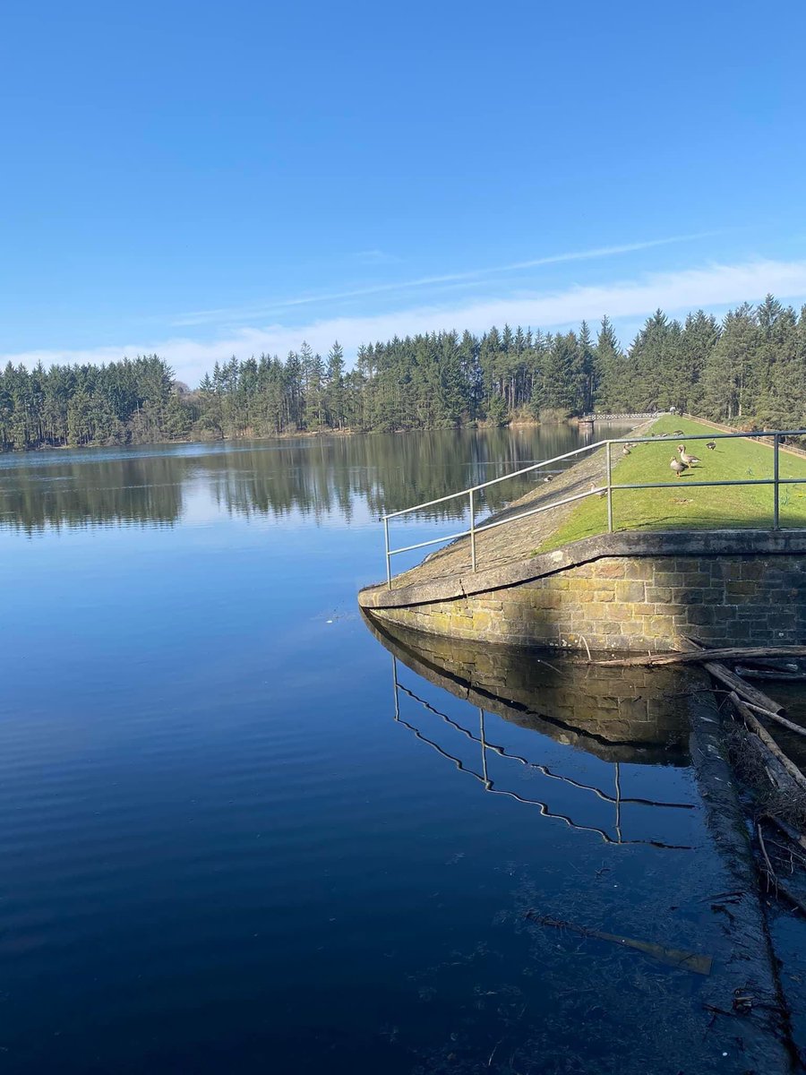 celtswalkingon's tweet photo. Lovely walk round this Loch 💚 https://t.co/4nZhjOUGuB