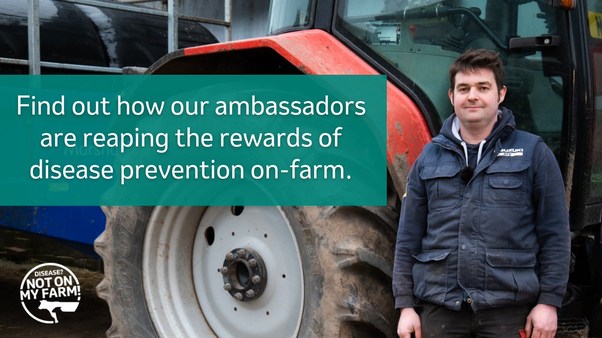 SenseHubGB's tweet photo. Are you striving to improve the health and productivity of your flock or herd?
Every livestock farmer can make a difference. Follow @NotOnMyFarm to find out how our ambassadors are reaping the rewards of disease prevention on-farm.
#WeAreNotSpectators https://t.co/Ck2FLOm8Cx
