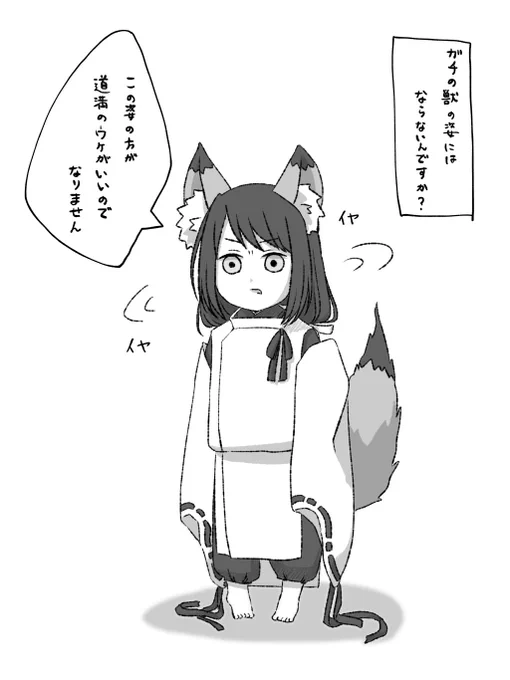 イマ晴今年度最後の主張 