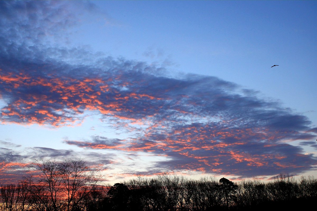 AcyRunway13's tweet photo. Happy Thursday, desired dreams drift into the morning sky, returning back at night ✨
#nature #thursdayvibes #driftingclouds https://t.co/ilIsrwcuFg