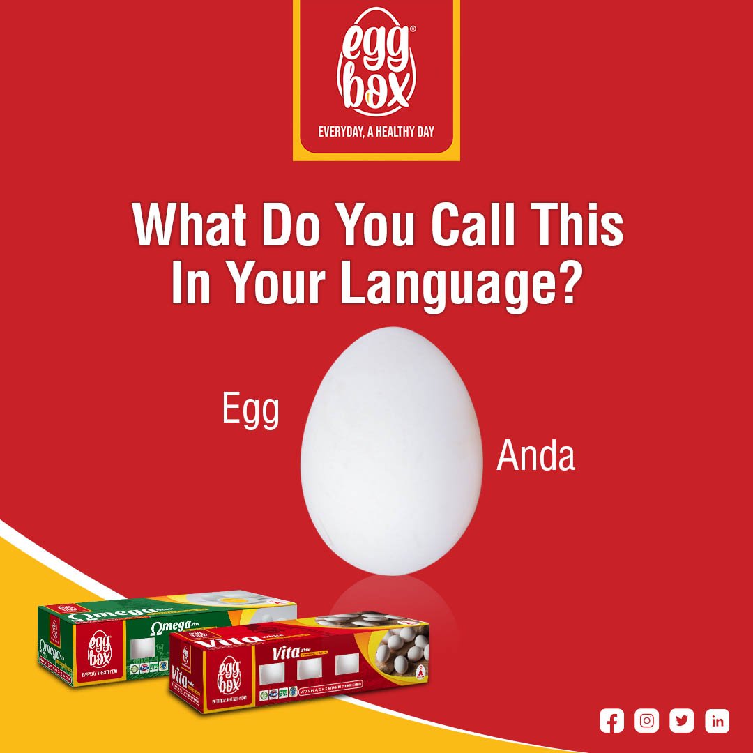 EggBoxPk's tweet photo. Egg has different names in different languages. What do you call egg in your language? Share your answers in the comment section.
#EggBox #VitaWhite #OmegaMax #Delicious #HealthyEggs @MahmoodGroup https://t.co/zYULVPxRGk