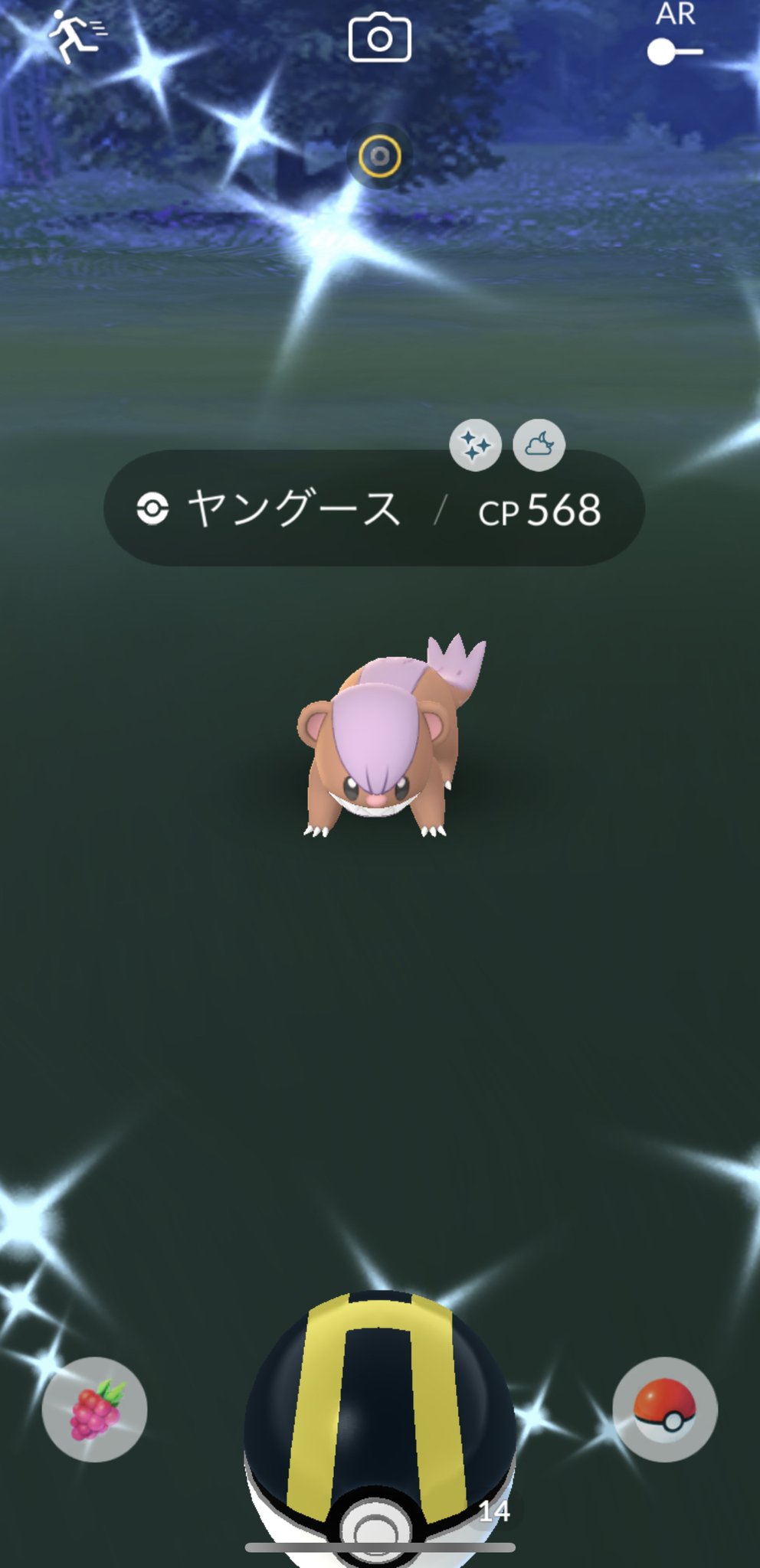 Tsunemix ヤングース 色違いゲット デカグース に進化 Pokemongo Shiny T Co Jnipabxew7 Twitter