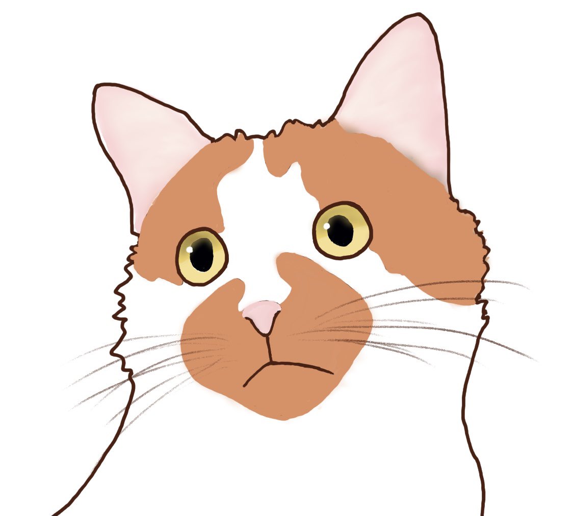 mamesuke2110's tweet photo. 家のニャンコ

#ねこ https://t.co/VKgxTMnP8R