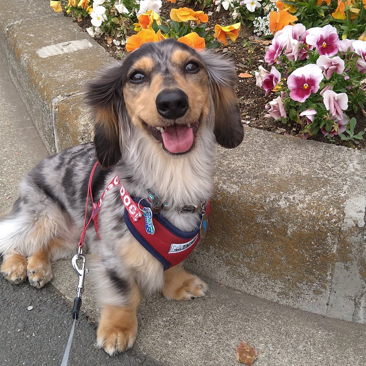 happymam19's tweet photo. #新しいプロフィール画像 https://t.co/4csRAT1lvS