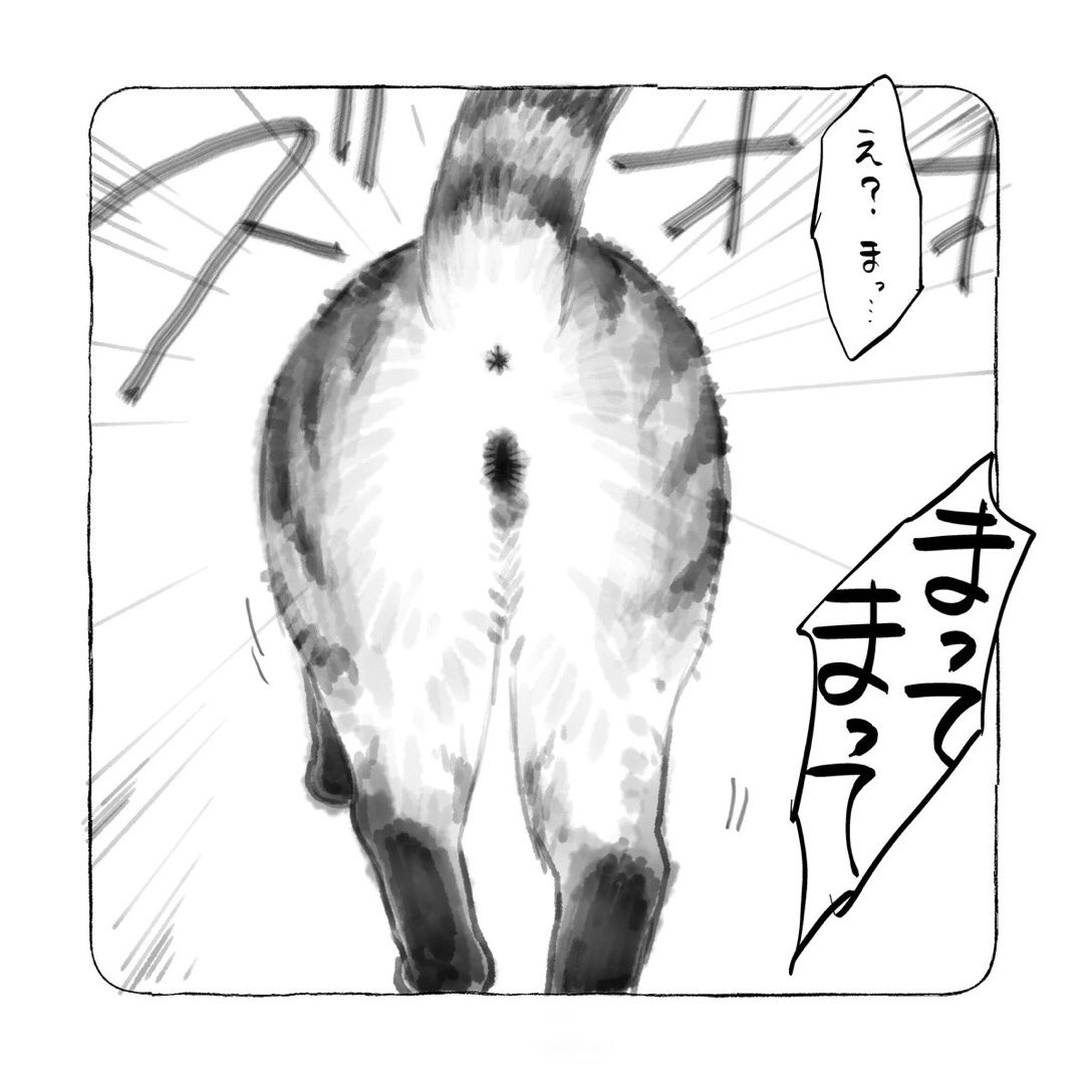 #3月を写真4枚で振り返る
猫ばっかだったな…4月は狸の漫画描きたいけどどうか知らん 