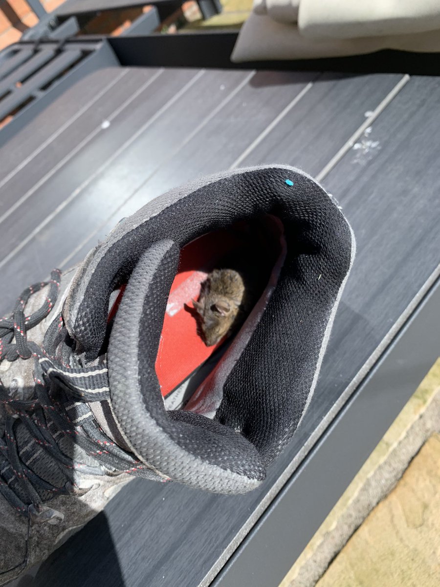 Jeremy McWilliams tweet media