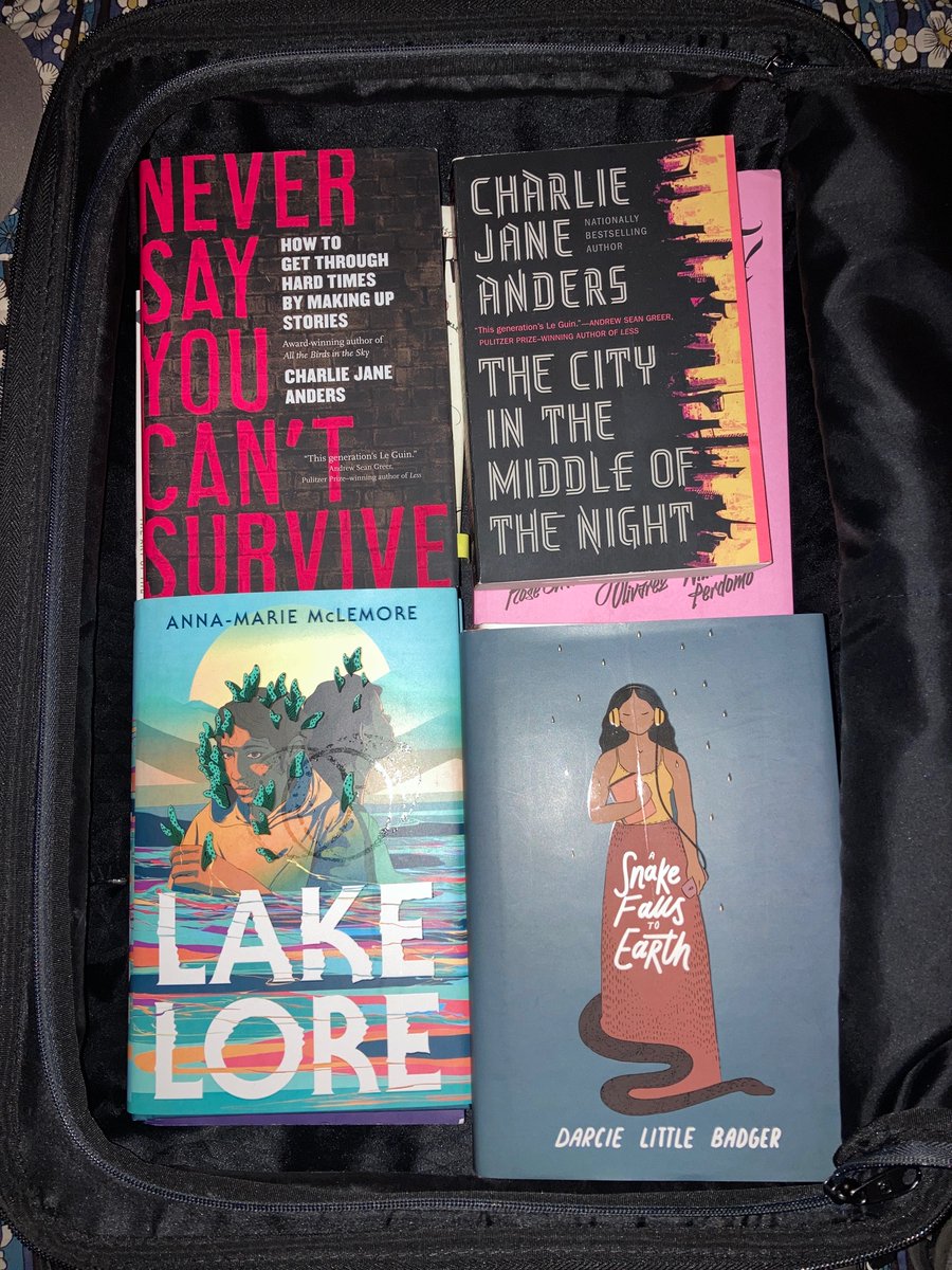 magpiewrites's tweet photo. This is the second layer. Please send help. I still need to fit in my snacks! #NotPackingLight #WritersRetreat https://t.co/hGdnYcwkC8
