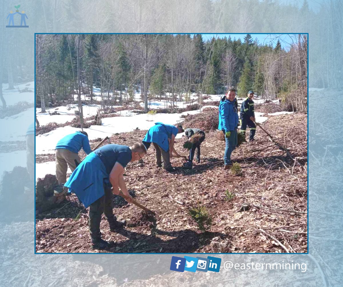 easternmining's tweet photo. Naš doprinos nije samo pošumljavanje, kao društveno odgovorna kompanija želimo da damo primjer mlađoj generaciji pokazujući kako se brine o okolišu. Prošlog vikenda smo se pridružili Šumariji Vareš i Udruženju izviđača "Zvijezda" Vareš da sadimo sadnice na Planinici. #letsdoitBiH https://t.co/hpTg9miJ6k