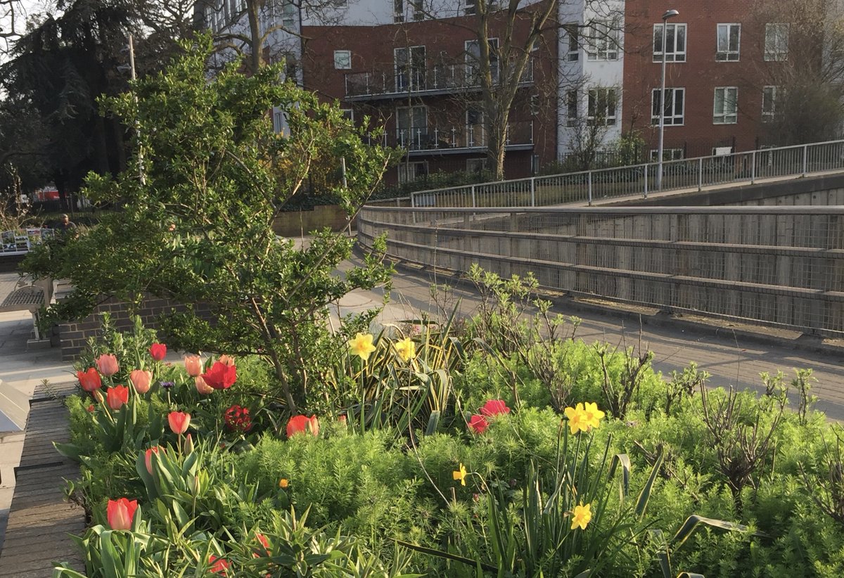 SWGardeners's tweet photo. We’ve been beavering away on the #SouthWoodford  Bridge beds which have looked pretty spiffing in the sunshine. Tomorrow (Friday 1st, 10am) we'll be having a go at the George Lane beds. We may have to layer up! https://t.co/lOiiYIbVzL