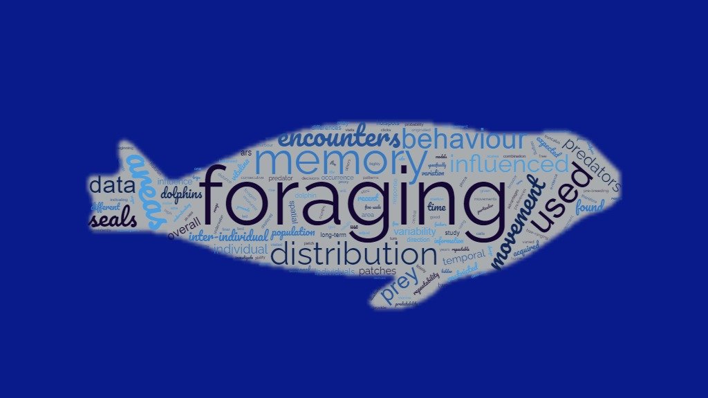 Virginia Iorio tweet media