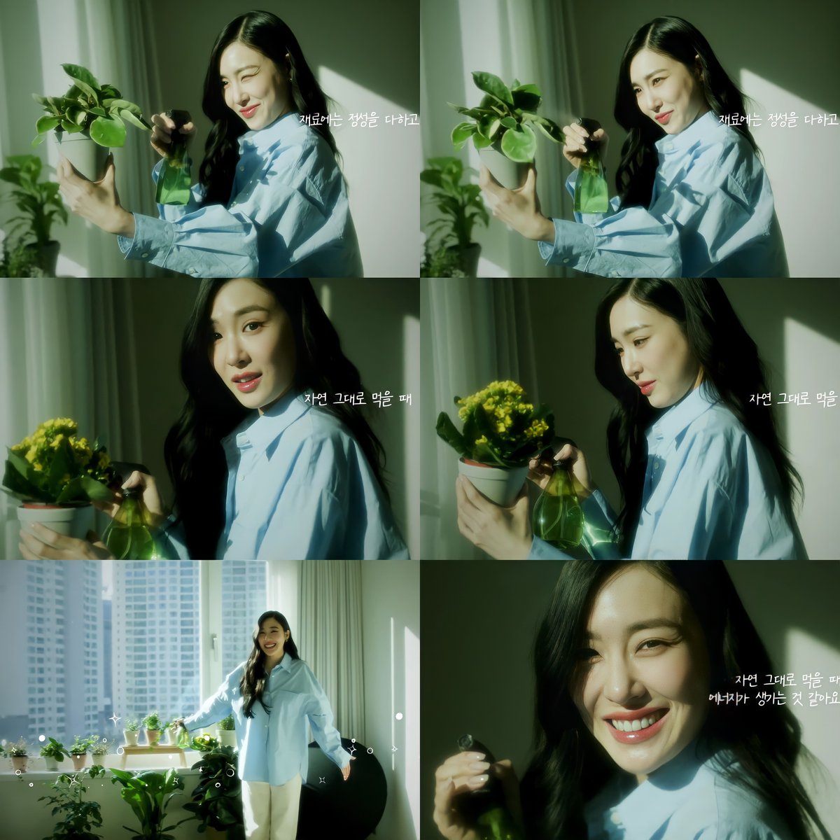 TiffanyProjects's tweet photo. 🪴
#TiffanyYoung #티파니영 #티파니 #LifePromise https://t.co/yar7Y90IF0