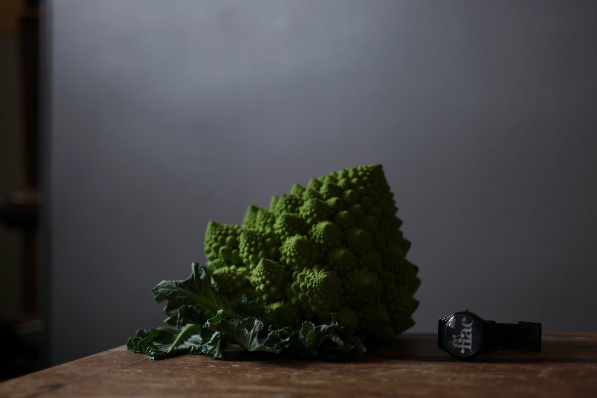 C’EST MATHÉMATIQUE
.
#jeudiphoto  #naturemorte #chouromanesco #fiac #fractal #contempraryphotography #contemporarystilllife