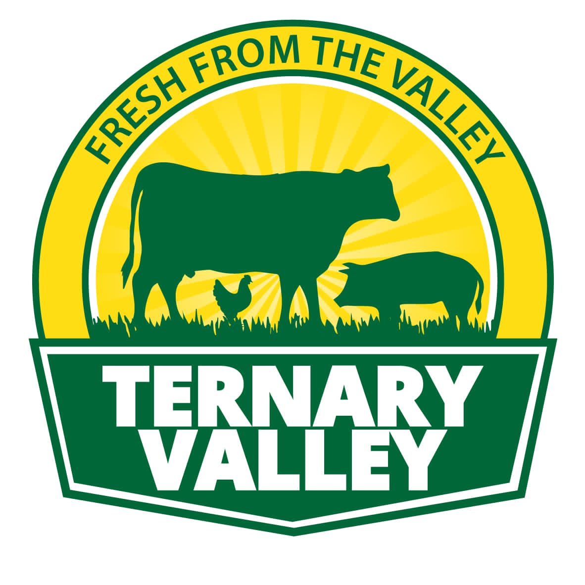 TernaryValley's tweet photo. #NewProfilePic hello guys we are Ternary Valley, we are coming to you Fresh From The Valley. Thanks for the support you've been showing us. We appreciate you. https://t.co/uSCPiKd4tg