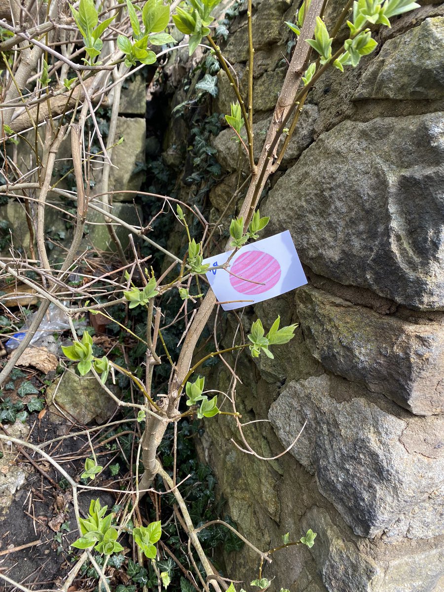 SHS_PE_Dept's tweet photo. Where am I? GCSE PE Easter Egg hunt #activelearning #egghunt #questiontrail https://t.co/fWCLuW7ldh