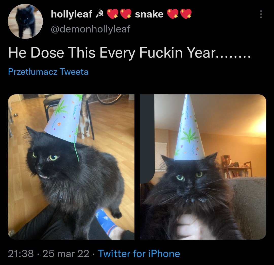 cattwtstruggle's tweet photo. . @demonhollyleaf https://t.co/pqNS6tC4Rl