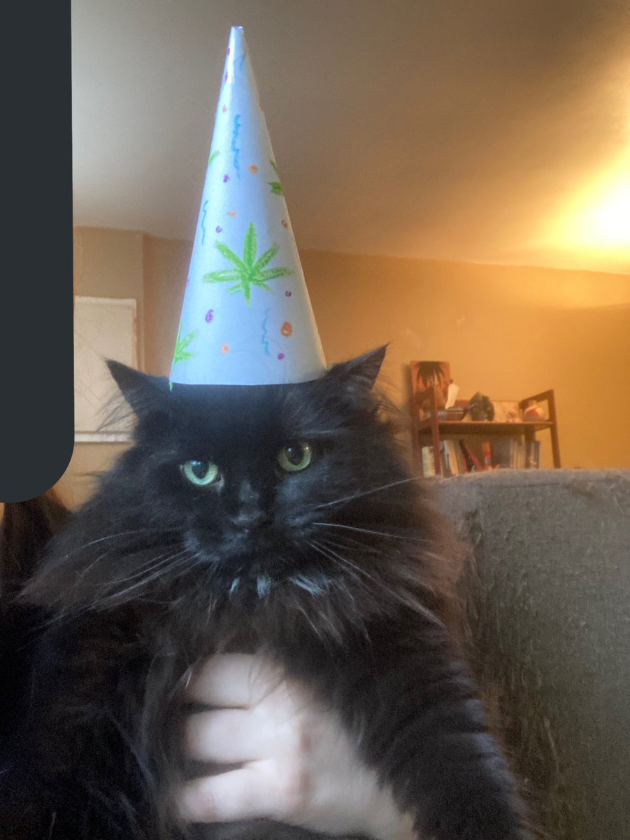 cattwtstruggle's tweet photo. . @demonhollyleaf https://t.co/pqNS6tC4Rl